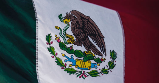 Artesanía mexicana - Bolsa Artesanal Mx