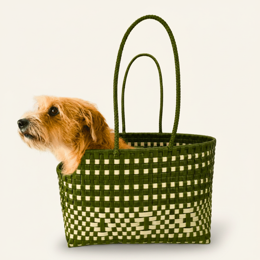 Transportadora con perro — Off-White